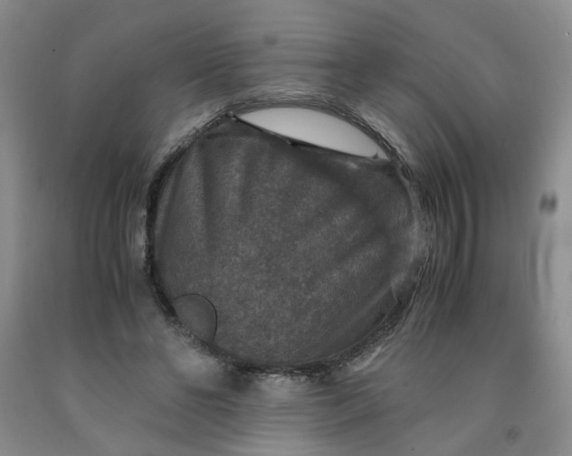 X0000091960494200709201346