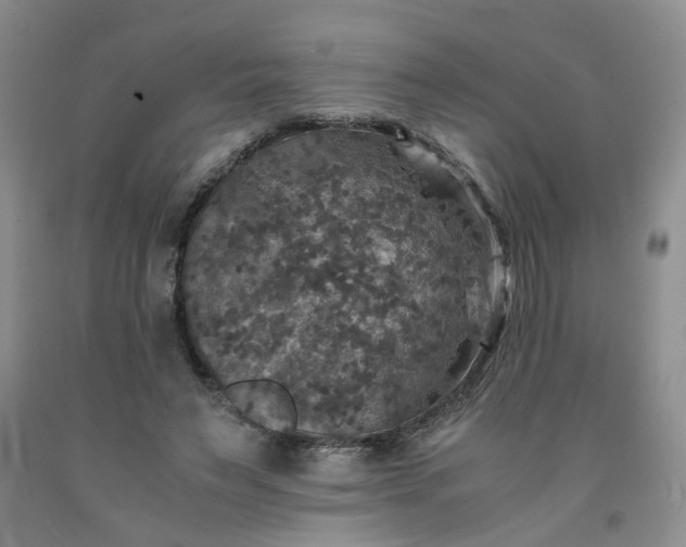 X0000091960495200709201346