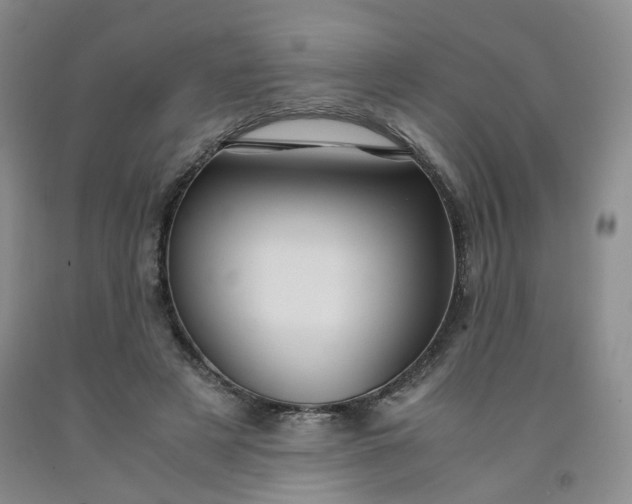 X0000091960497200709201346