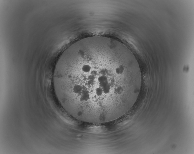 X0000091960499200709201346