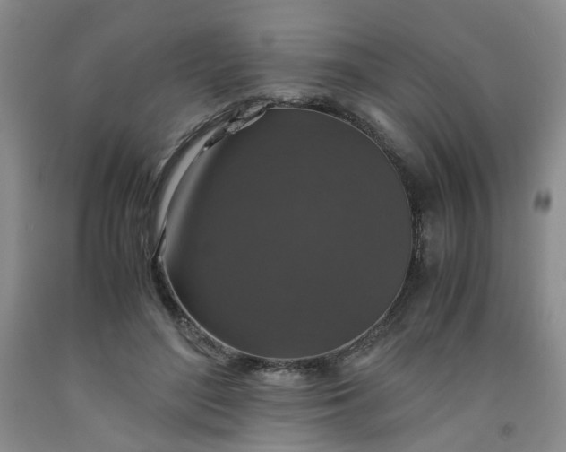 X0000091960500200709201346