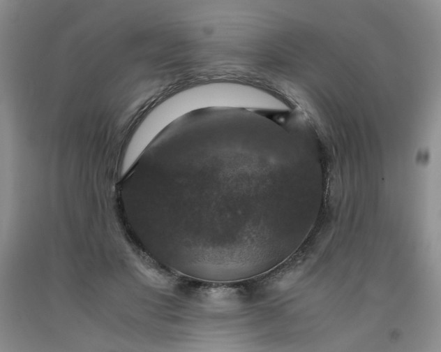 X0000091960501200709201346