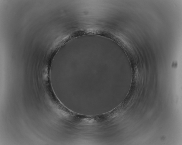 X0000091960502200709201346