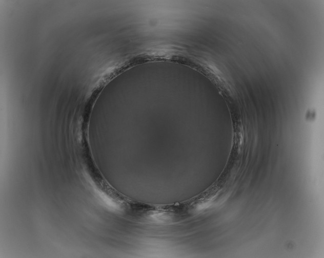 X0000091960504200709201346