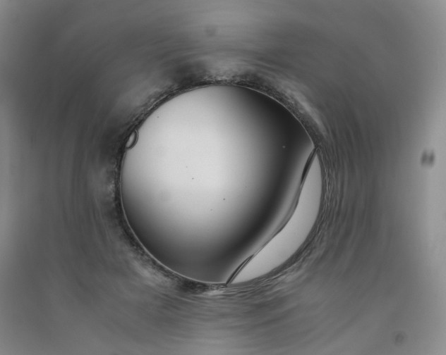 X0000091960505200709201346