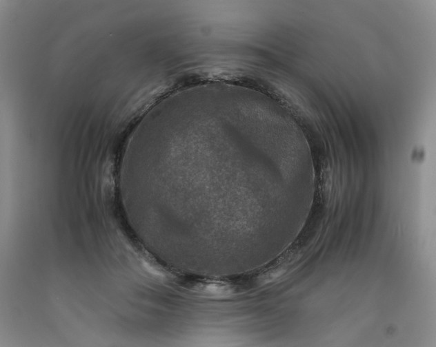 X0000091960506200709201346