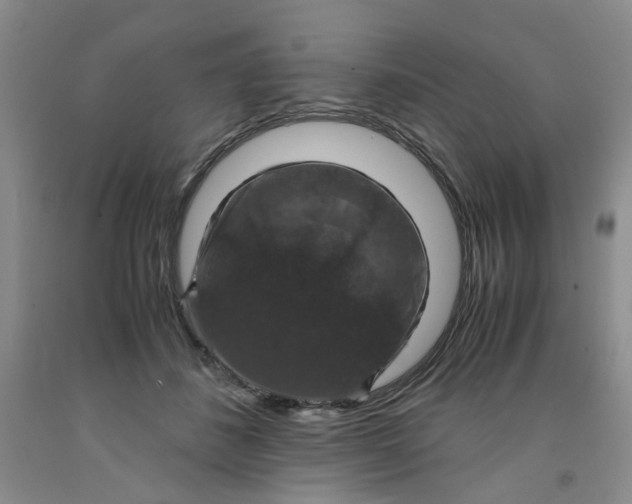 X0000091960508200709201346