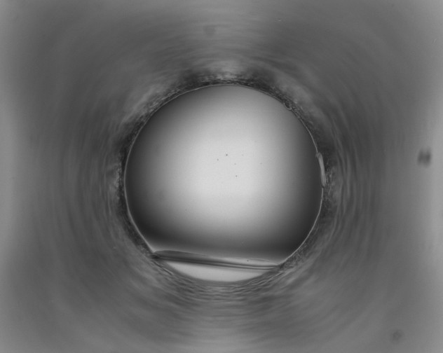 X0000091960509200709201346