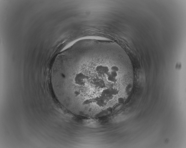 X0000091960511200709201346