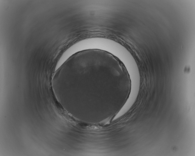 X0000091960512200709201346