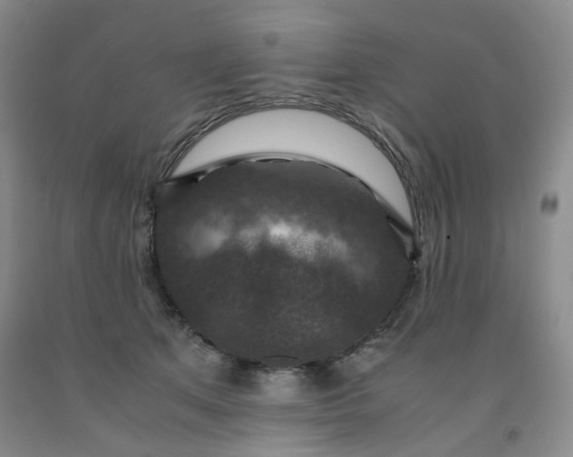 X0000091960513200709201346