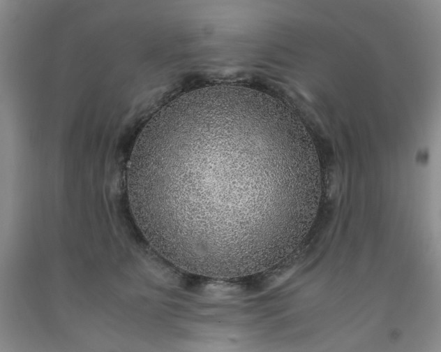 X0000091960515200709201346