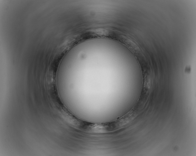 X0000091960518200709201346