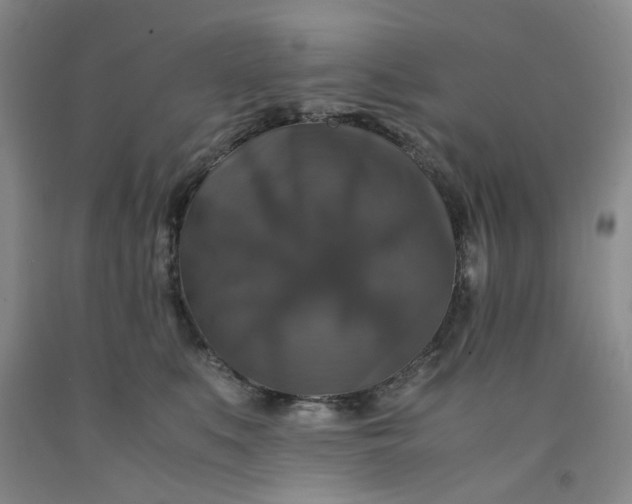 X0000091960519200709201346