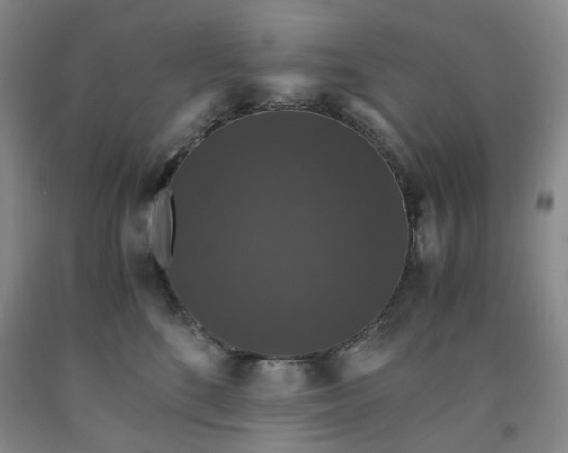 X0000091960520200709201346