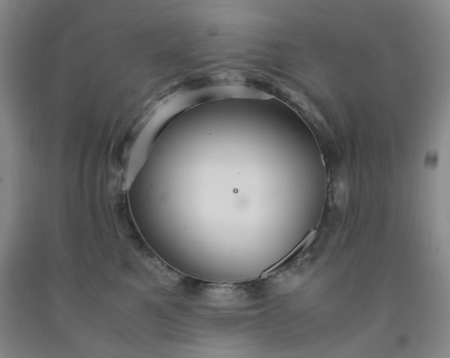 X0000091960521200709201346