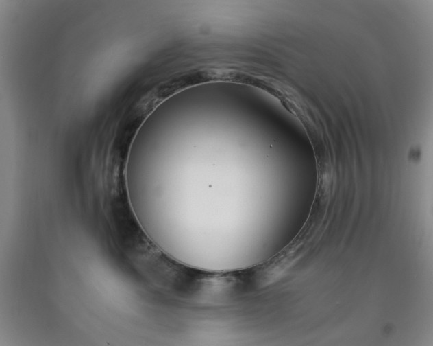 X0000091960525200709201346