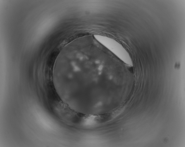 X0000091960527200709201346