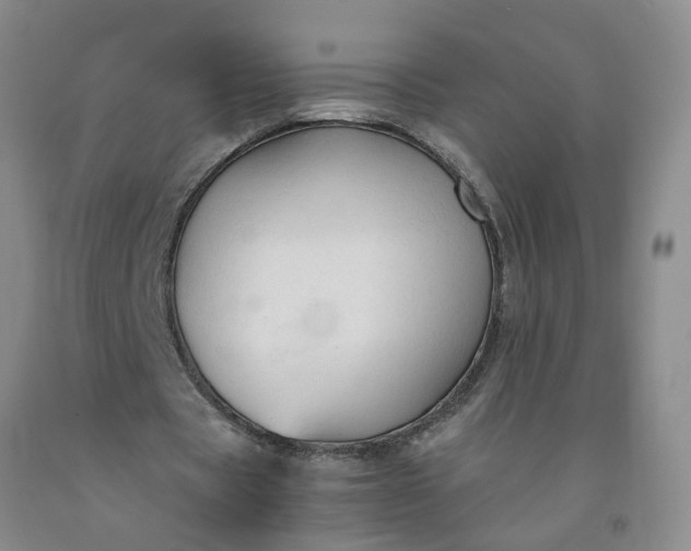 X0000091960529200709201345