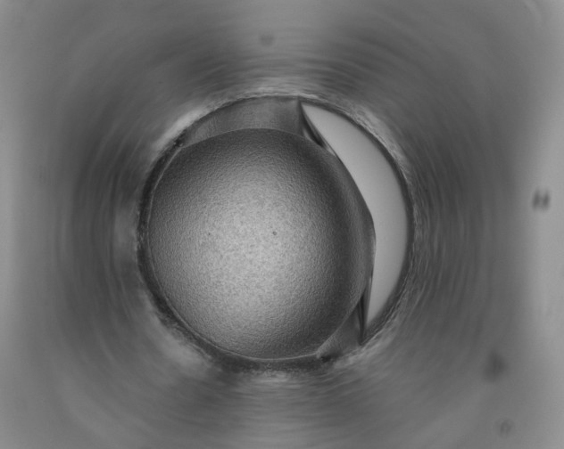 X0000091960530200709201345