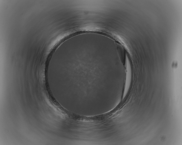 X0000091960531200709201345