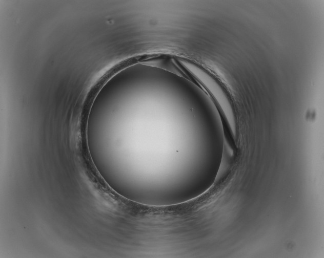 X0000091960532200709201345