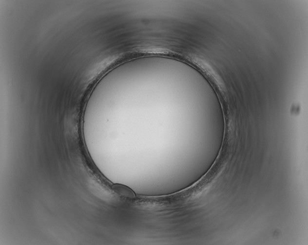 X0000091960533200709201345