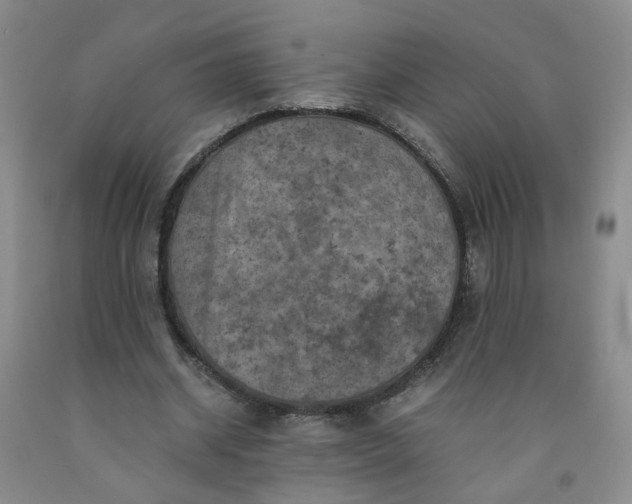 X0000091960534200709201345