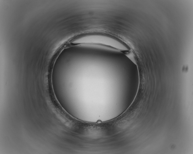 X0000091960535200709201345