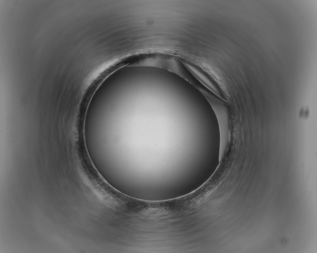 X0000091960536200709201345