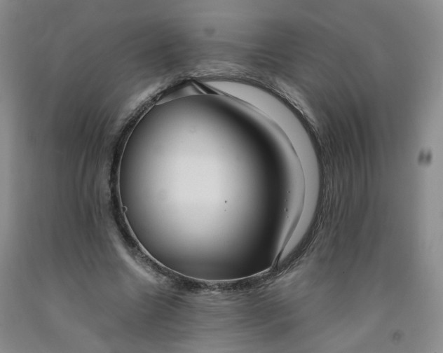 X0000091960538200709201345