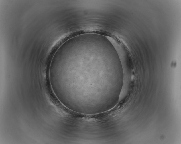 X0000091960539200709201345