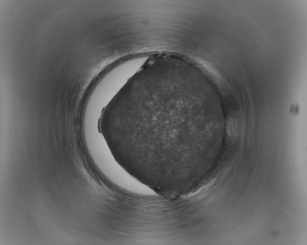 X0000091960540200709201345