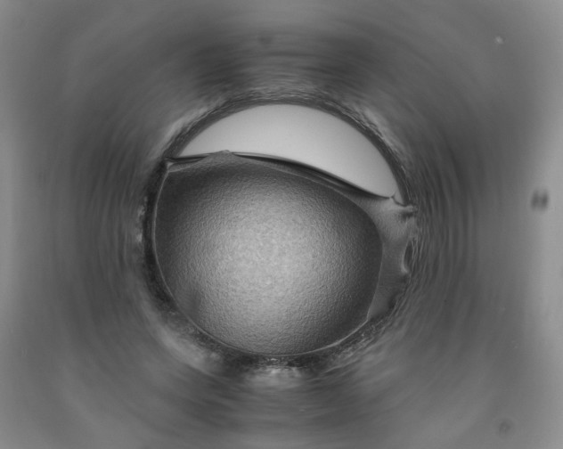 X0000091960543200709201345