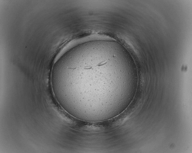 X0000091960545200709201345