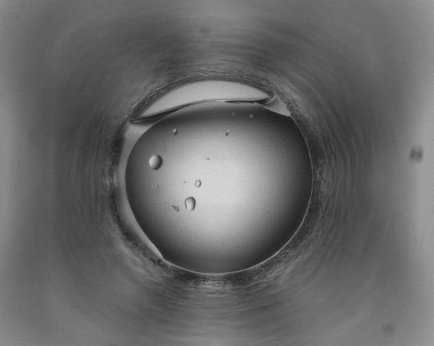 X0000091960546200709201345