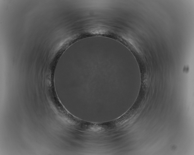 X0000091960547200709201345