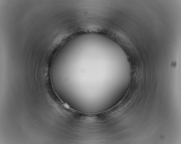 X0000091960548200709201345