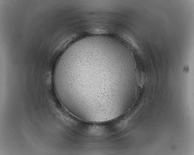 X0000091960549200709201345