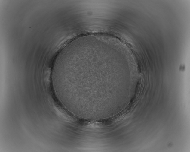 X0000091960550200709201346