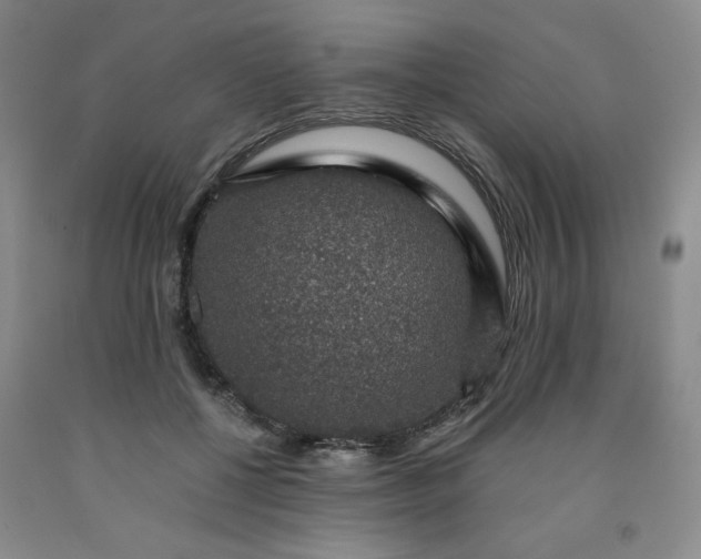 X0000091960552200709201346