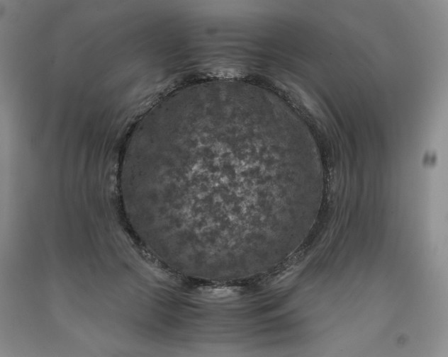 X0000091960553200709201346