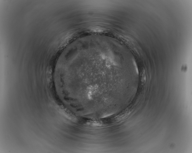 X0000091960559200709201346