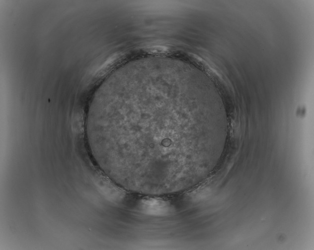 X0000091960561200709201346