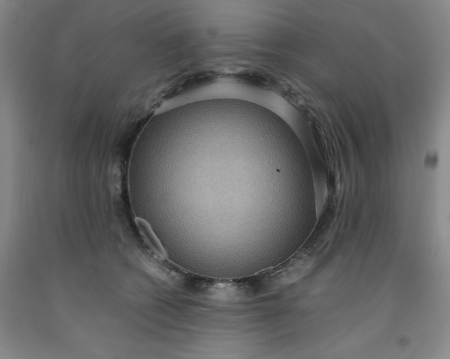 X0000091960562200709201346