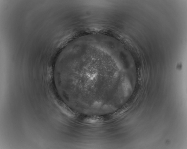 X0000091960563200709201346