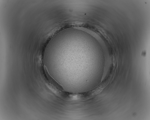 X0000091960564200709201346