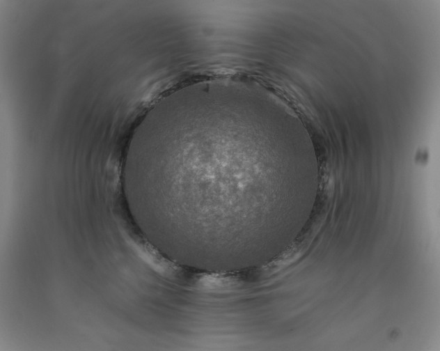 X0000091960568200709201346