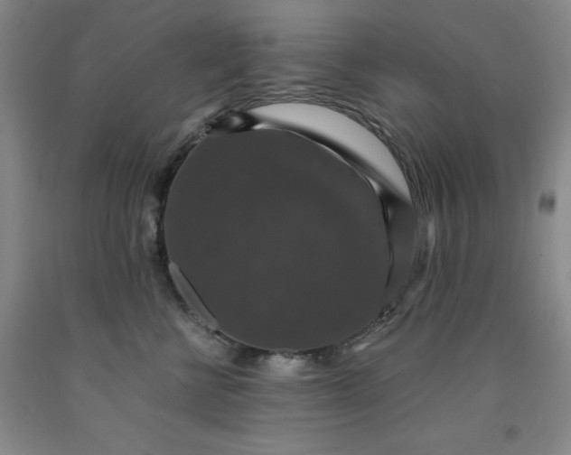 X0000091960570200709201346