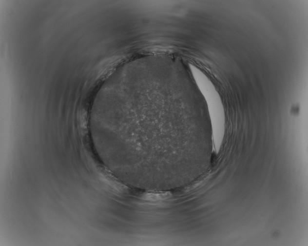 X0000091960571200709201346